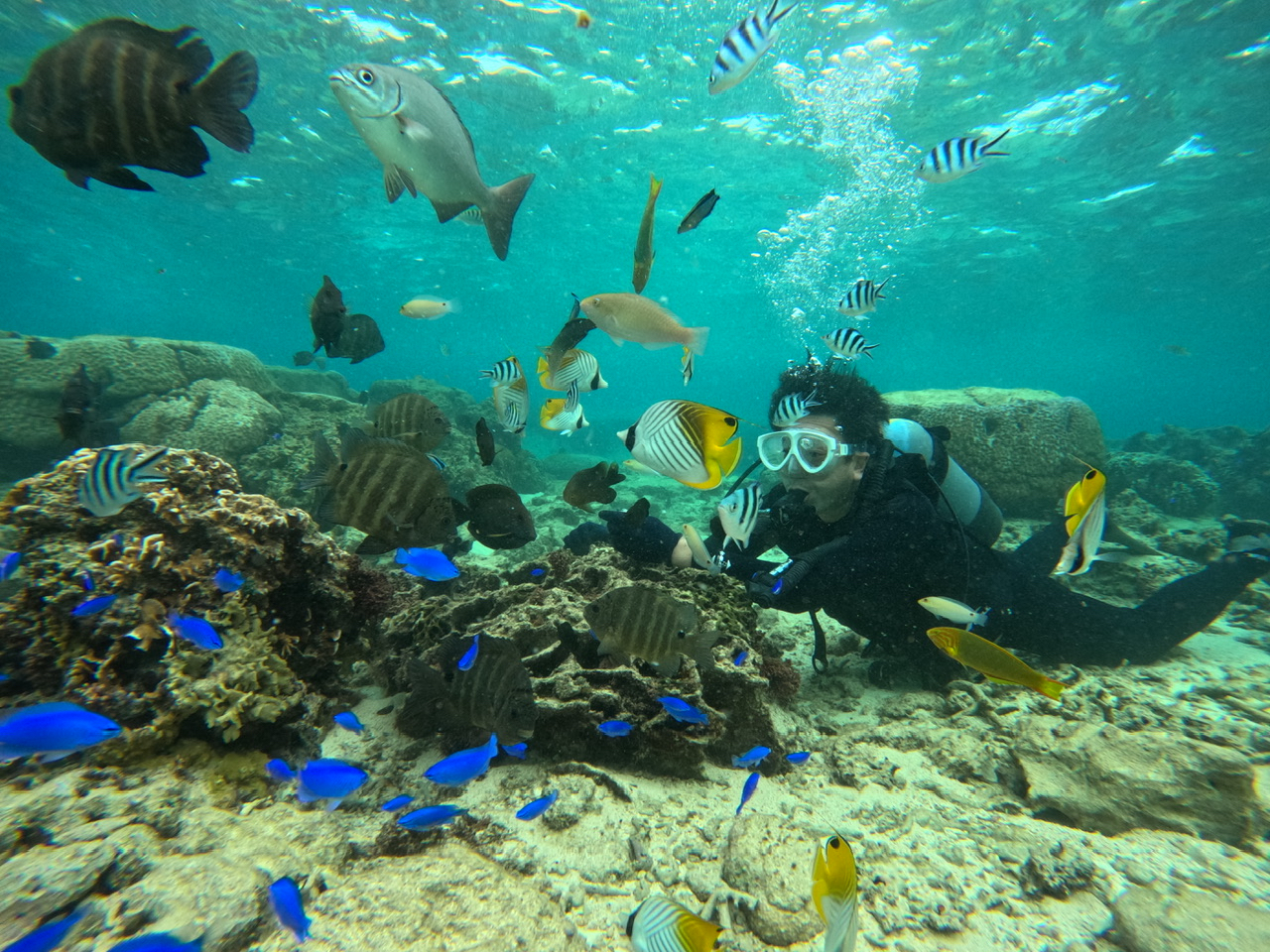 ̌_CrOł́ỷazgCĂ݂܂傤I