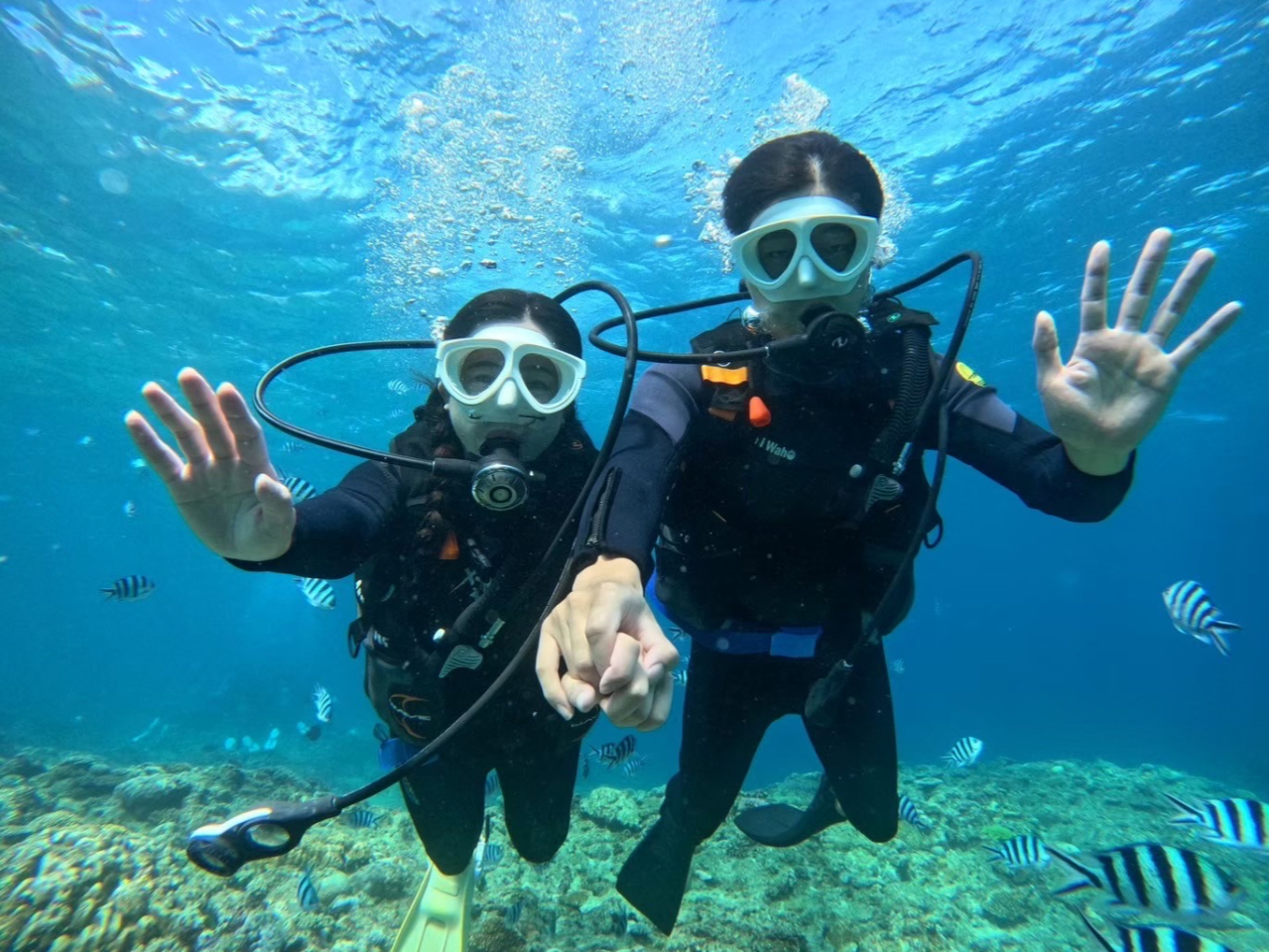 ���S�Ɉ��S���ăc�A�[�ɂ��Q�����������܂��B