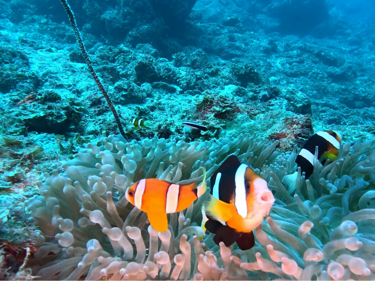 ���̉f��̎�l���ɉ�邩���I�I