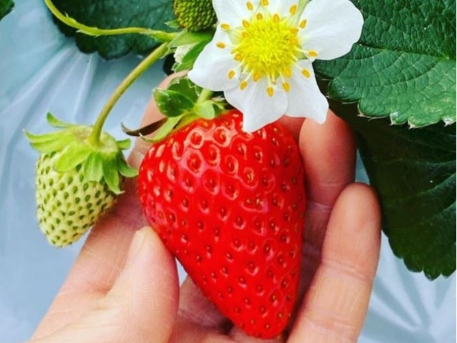 ̓Eݎ肪łA~[Ygp[NwaVx