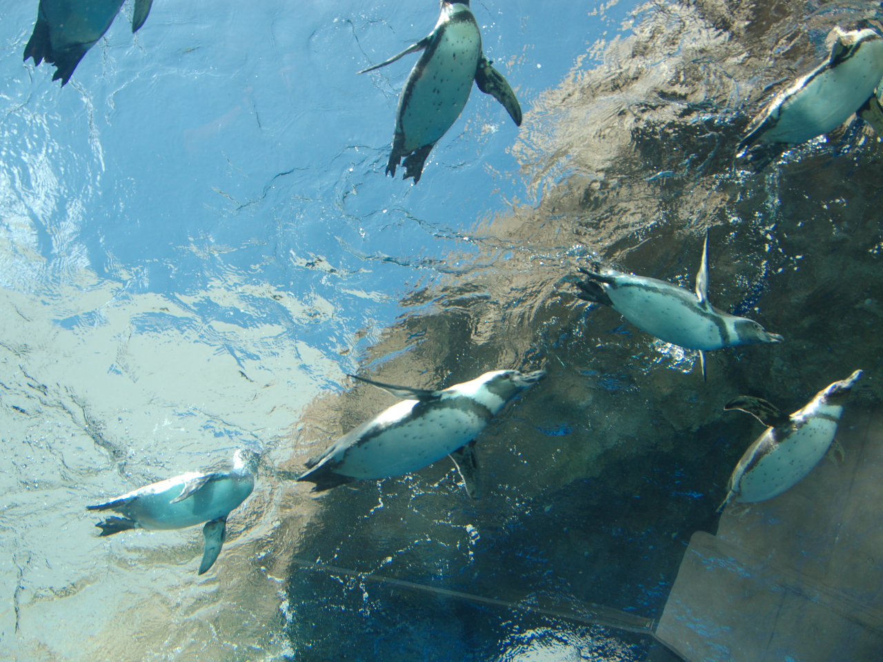 �y���M����