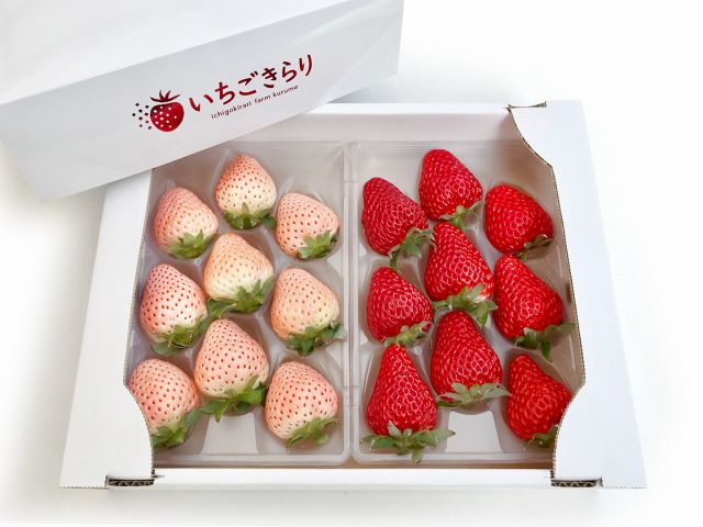 いちごギフトの購入、注文、発送も承っております!