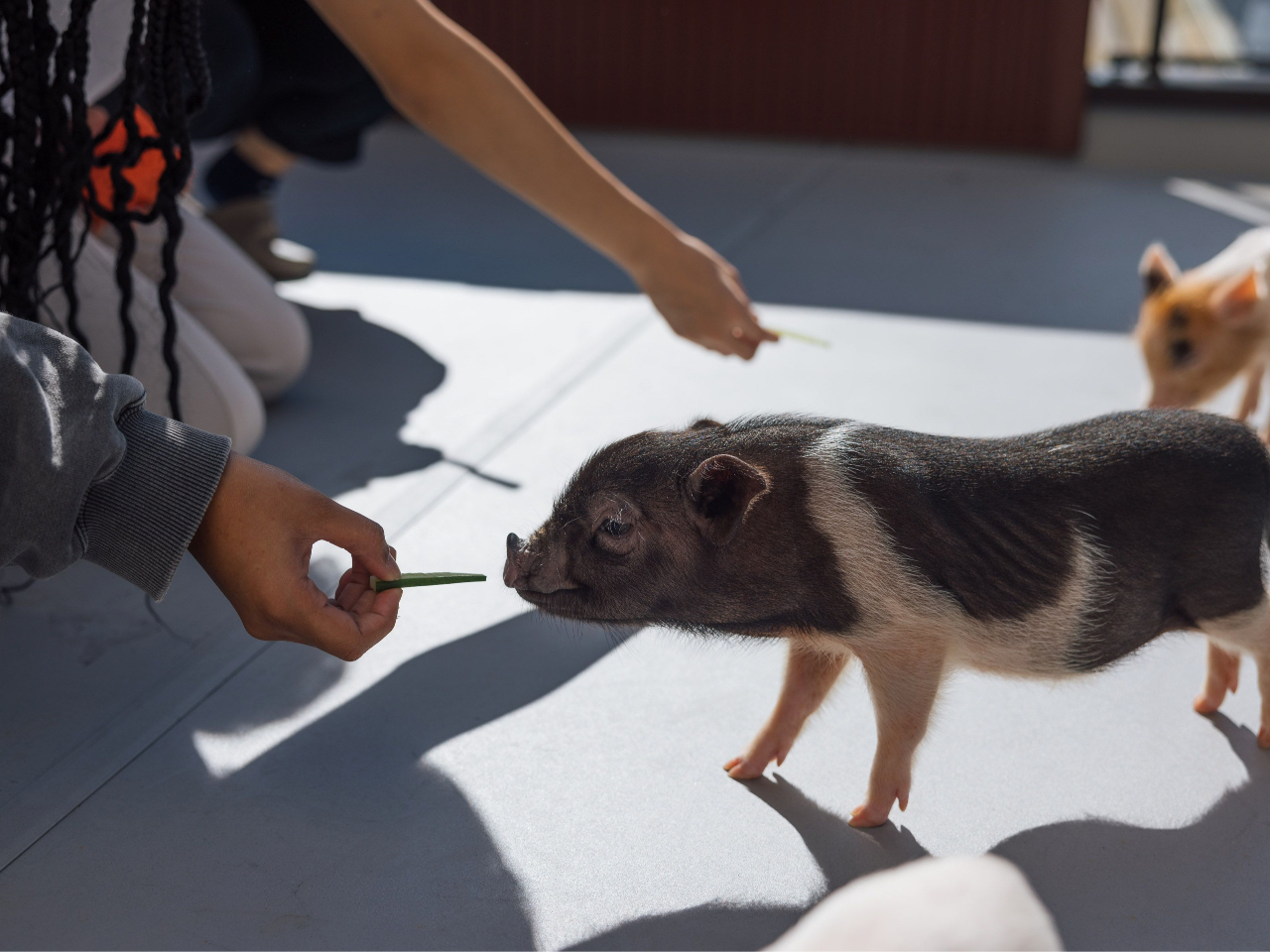 ł͂̌\łB]͓̕X^bt܂łB