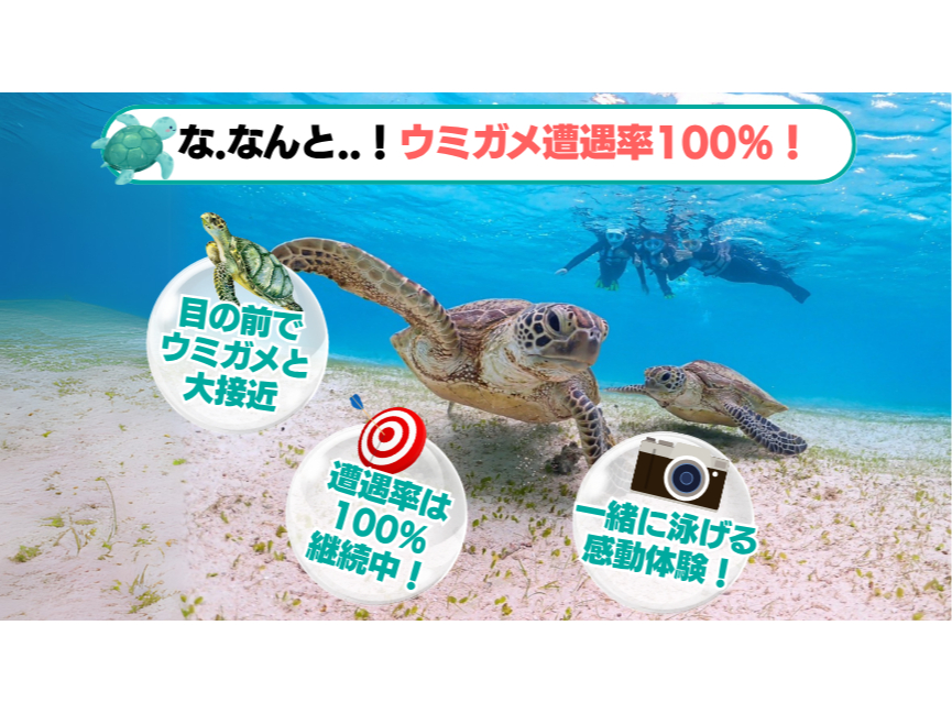 2024NE2025N2NAŃE~K100ێI