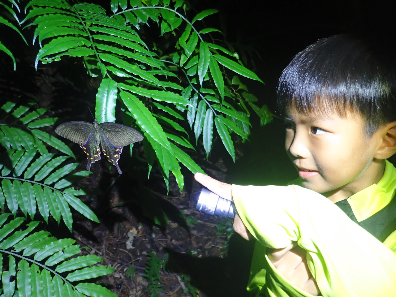 WOŒuԁIq勻̖̖`B 