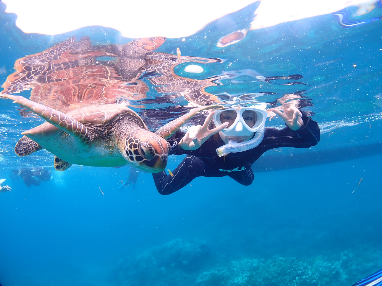 E~K98ȏIE~KƂ̑ڋ߃c[VbgCI