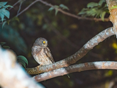 tNẼWOɂЂƘȂށA_IȌiB 