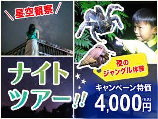 宮古島の夜を冒険!星空や夜の生物が盛り沢山!