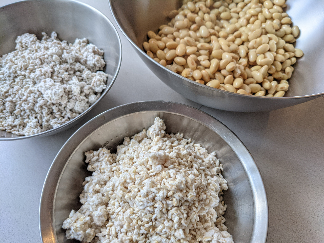 Making miso with salt, koji and soybeans