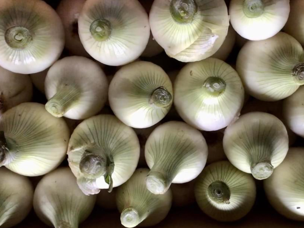 �������ʂ˂��ł��B