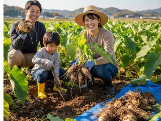 里芋堀り