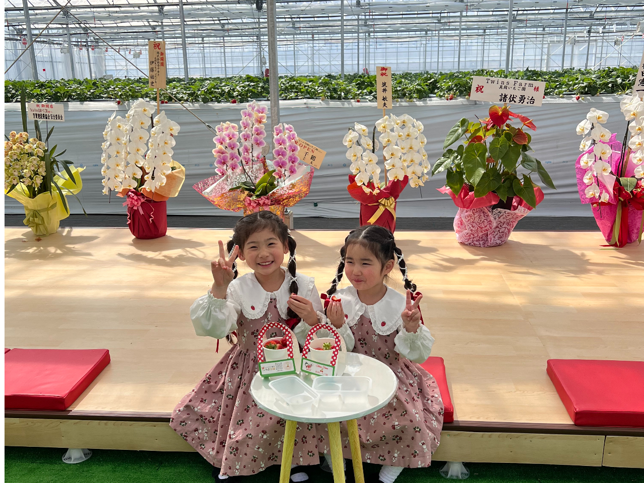 最大11品種・45分食べ放題♪4児の母・双子の妹の農園長が運営する高