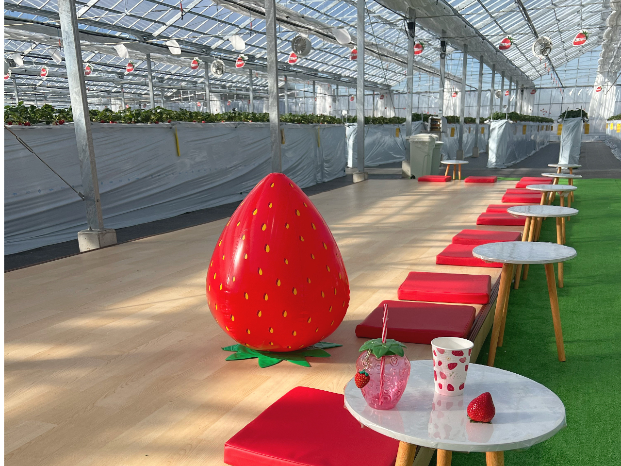 最大11品種・45分食べ放題♪4児の母・双子の妹の農園長が運営する高