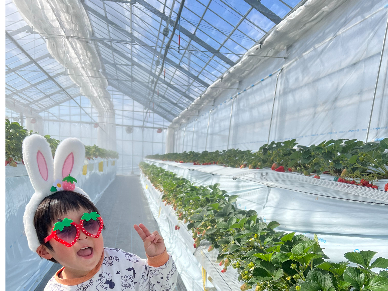 最大11品種・45分食べ放題♪4児の母・双子の妹の農園長が運営する高