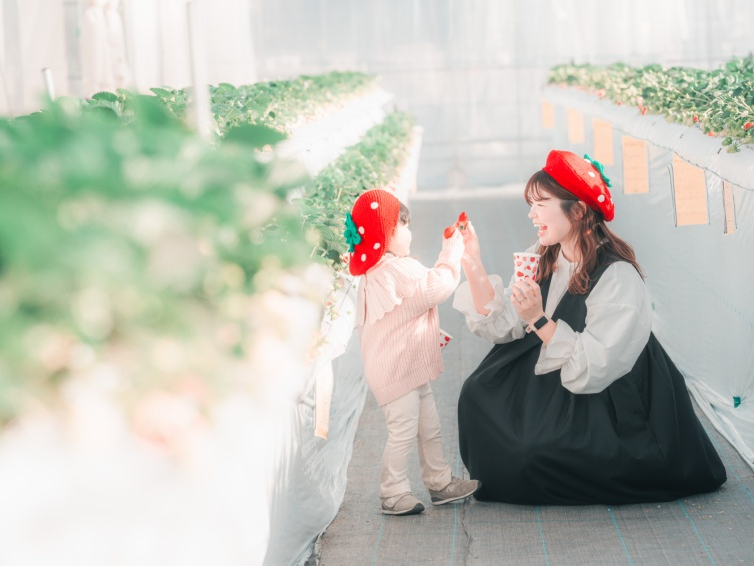 �������̃t�H�g�O�b�c���e�킲�p�ӂ��Ă���܂��B�����R�ɂ��g���������B