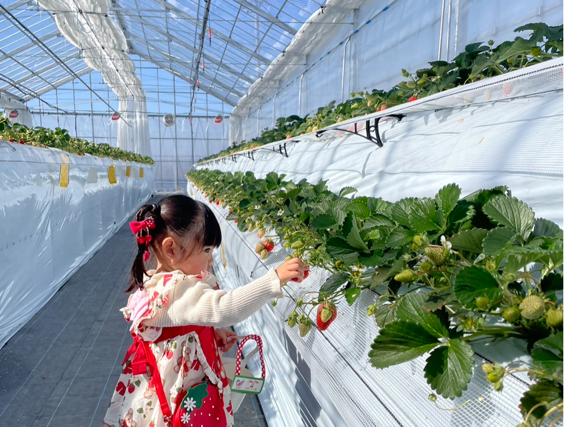 �Ԉ֎q�E�x�r�[�J�[�E�����Ȃ��q�l���E�ݎ����y���߂�Q�i�x���`�𓖉��͂Q��A�������Ă���܂��B