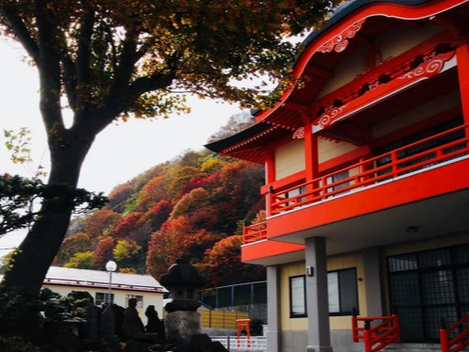 神社や日本家屋を訪れます