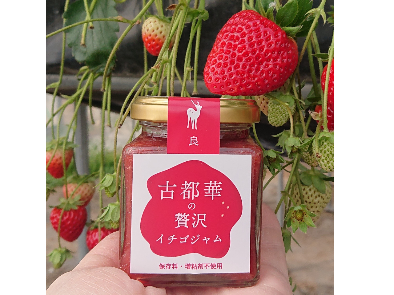 yYɂƂĂD]@ƐÓs؂Ղ̃WI