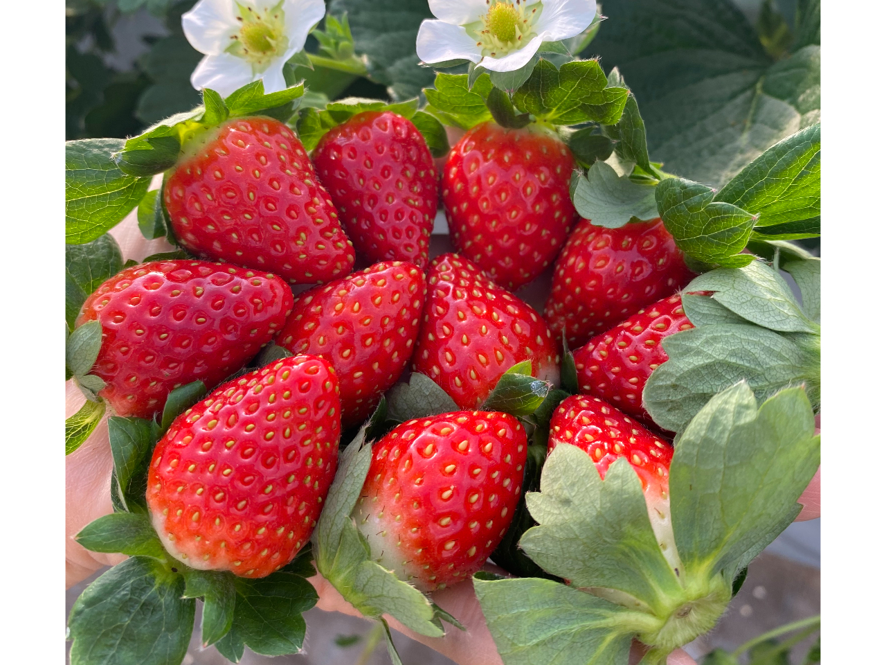 ޗǂł킦ȂI@łƂĂW[W[@wȂ炠x