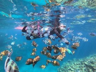 めっちゃ魚いるーーー!!