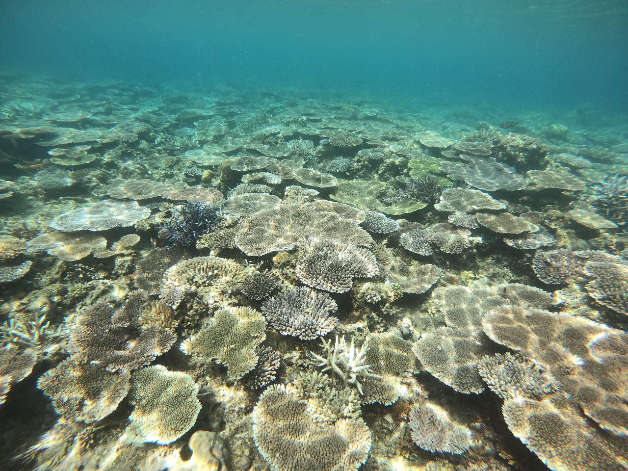 �������ɓ����Ă��邾���Ŗ������`