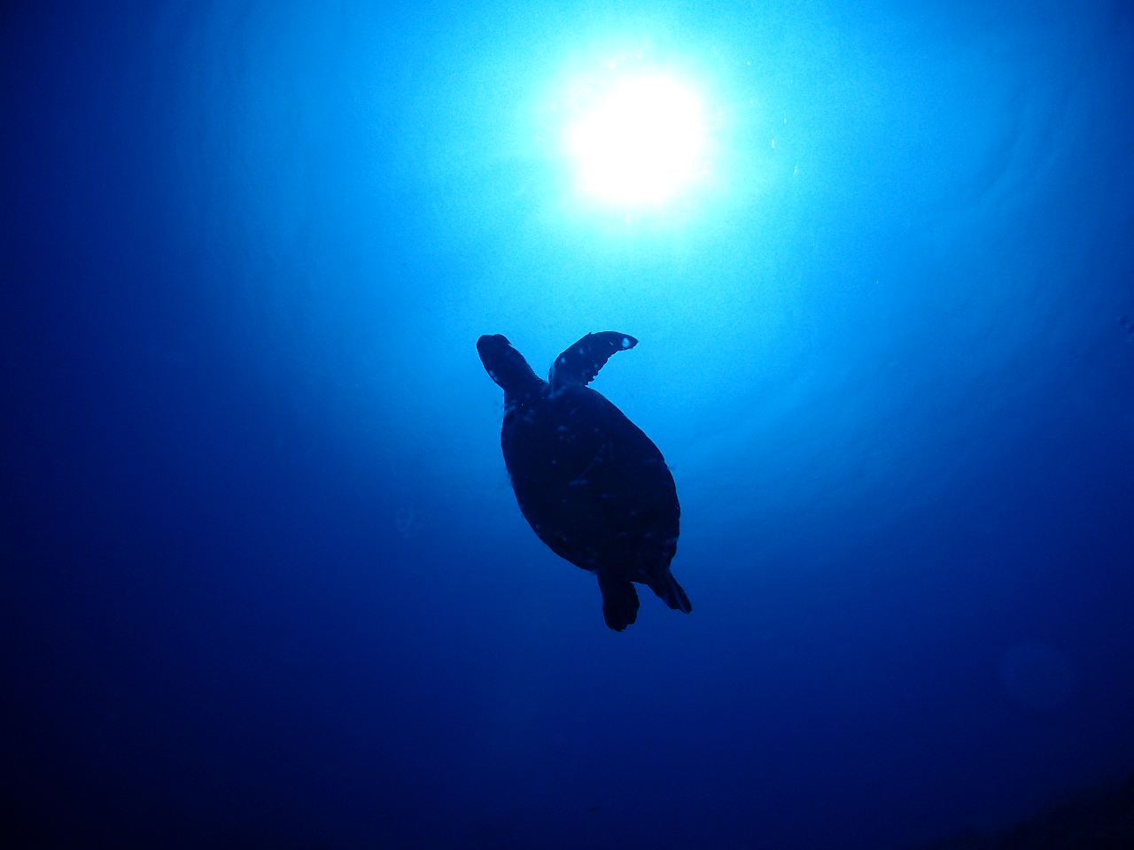 ��Ղ̏o����Ē��������炢�������܂��悗