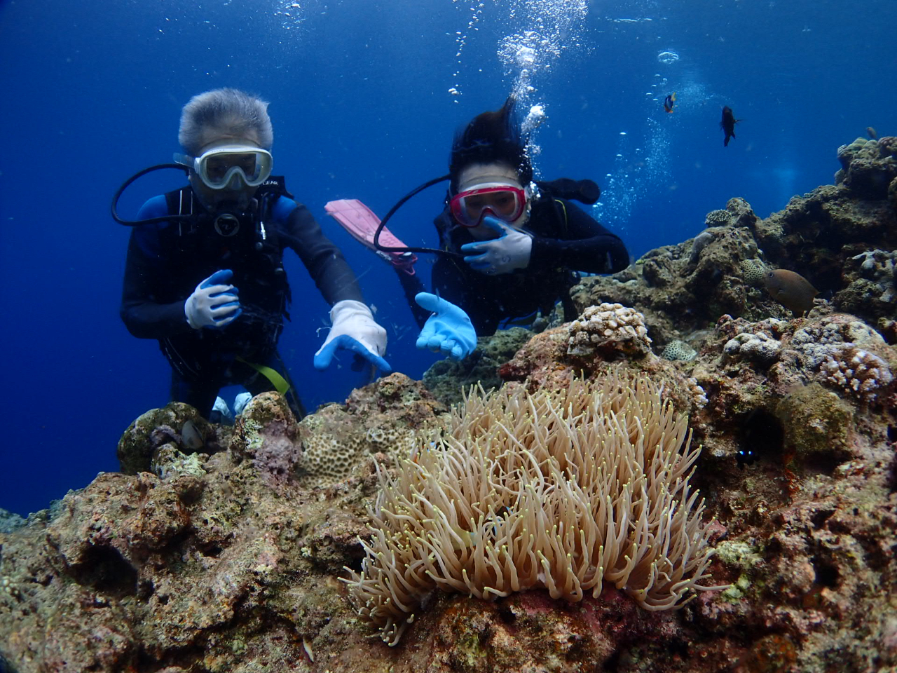 ���N�z�̕����C�y�ɂ��y���݂���������悤�A���S���ӑΉ������Ă��������܂��B