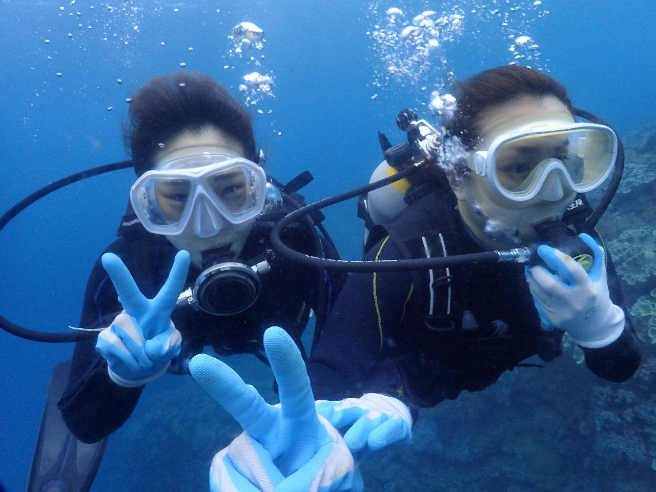 ����Ă����玩���ŉj���ł݂܂��傤�`�I�I���d�͂̐��E���čō��I