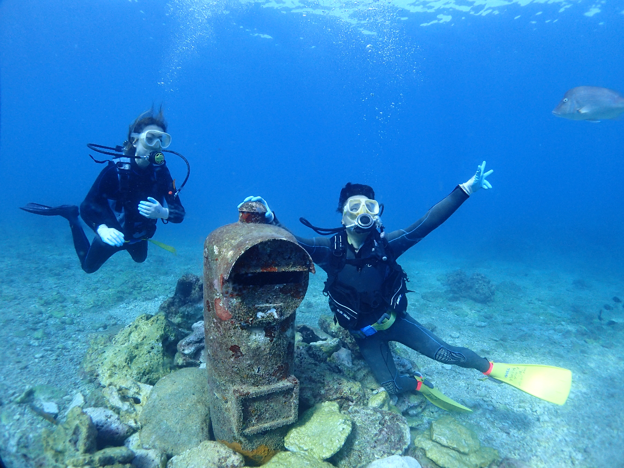 新規OPEN！モニタープラン（初心者限定体験ダイビング/ONE MILE