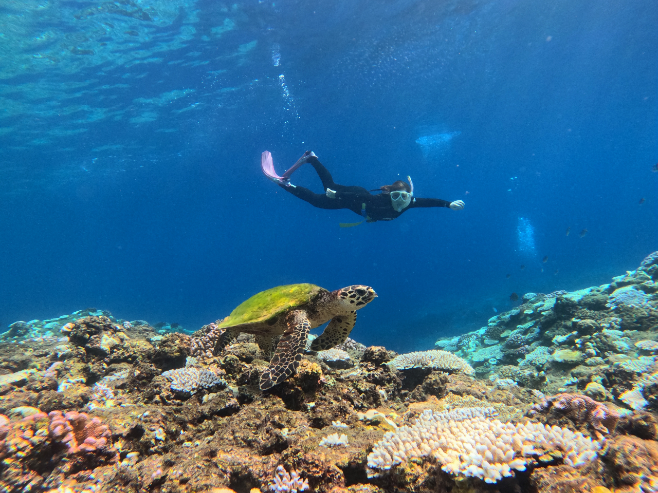 �J�Ïꏊ�ɂ���Č����J���̎�ނ��ς��܂��B�i�ʐ^�̓^�C�}�C�j