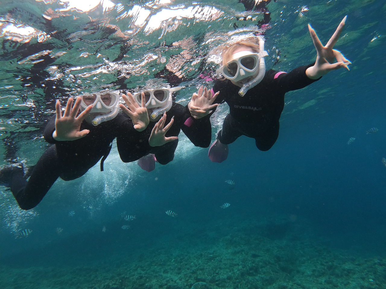 �F�B�A�J�b�v���A�Ƒ��ł̓��ʂȎv���o�ɁE�E�E