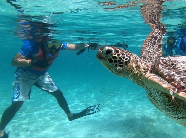 夏シーズンはシュノーケルセットの貸出も可能!ウミガメ遭遇があるかも!