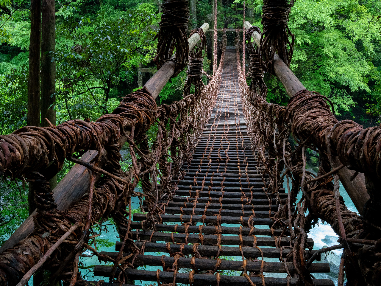  ̂͐[RkJnт̗B̌ʎ{݁B3Nɉˑւs܂B