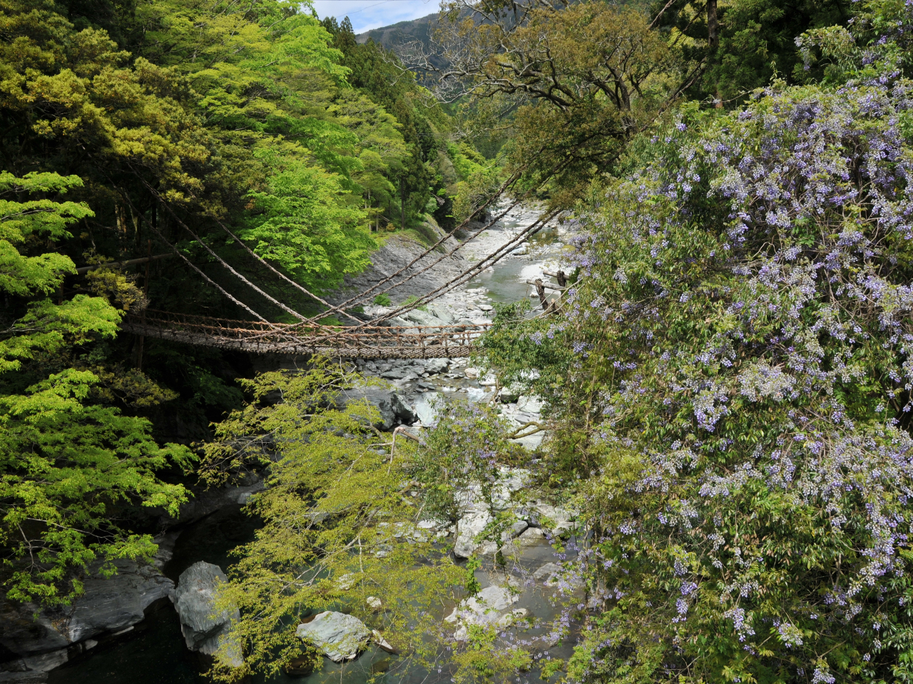 ≪20名以上予約可能・団体プラン≫【当日購入可】【徳島県/三好市】「秘境」祖谷の...