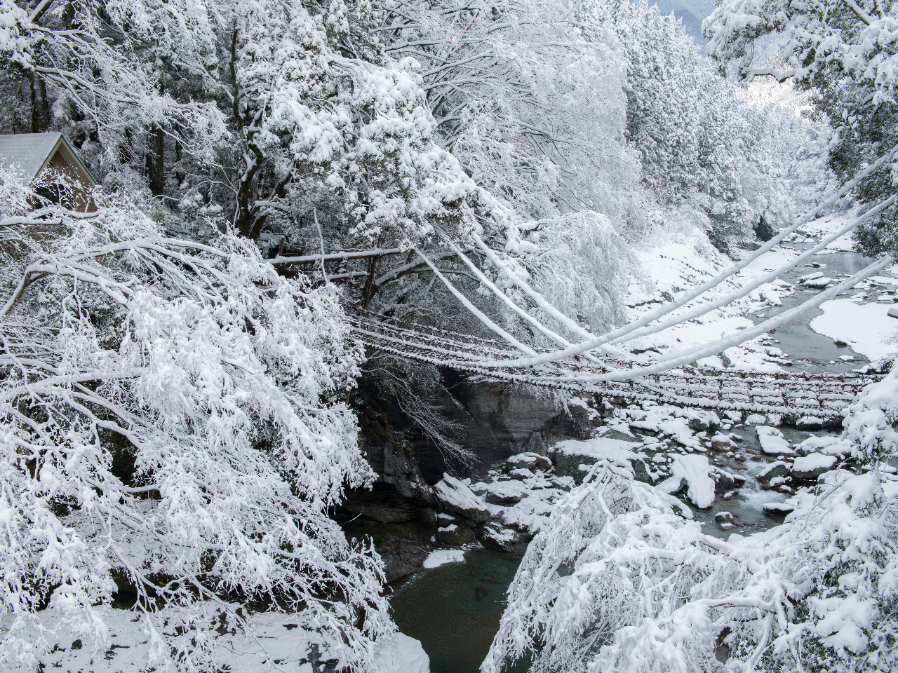 IuiFɗnނ狴v铇\i{sj