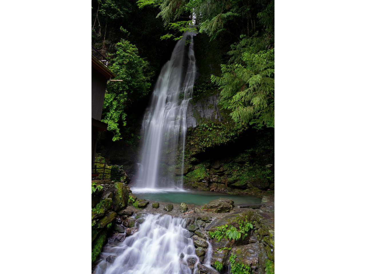 Ɠ`̎cuȋvcĴ狴nĂɍ50m炢sƁA40m̑ꂪ܂I