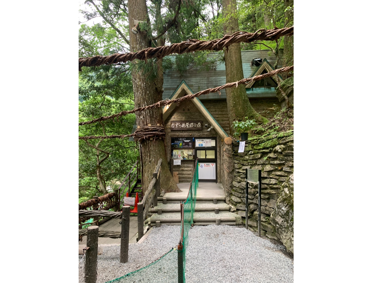 ̂ԂɁwcĴ狴Ǘx܂̂ŁA̓dq`Pbg茳ɂ̏AւzB