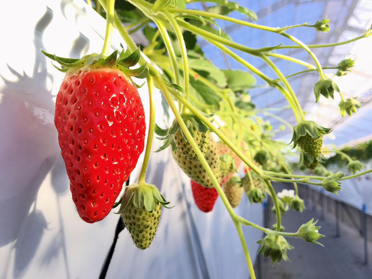 ̋uł͈SňSŔn̂オĂ߂ɁA܂܂ȍHvsĂ܂B