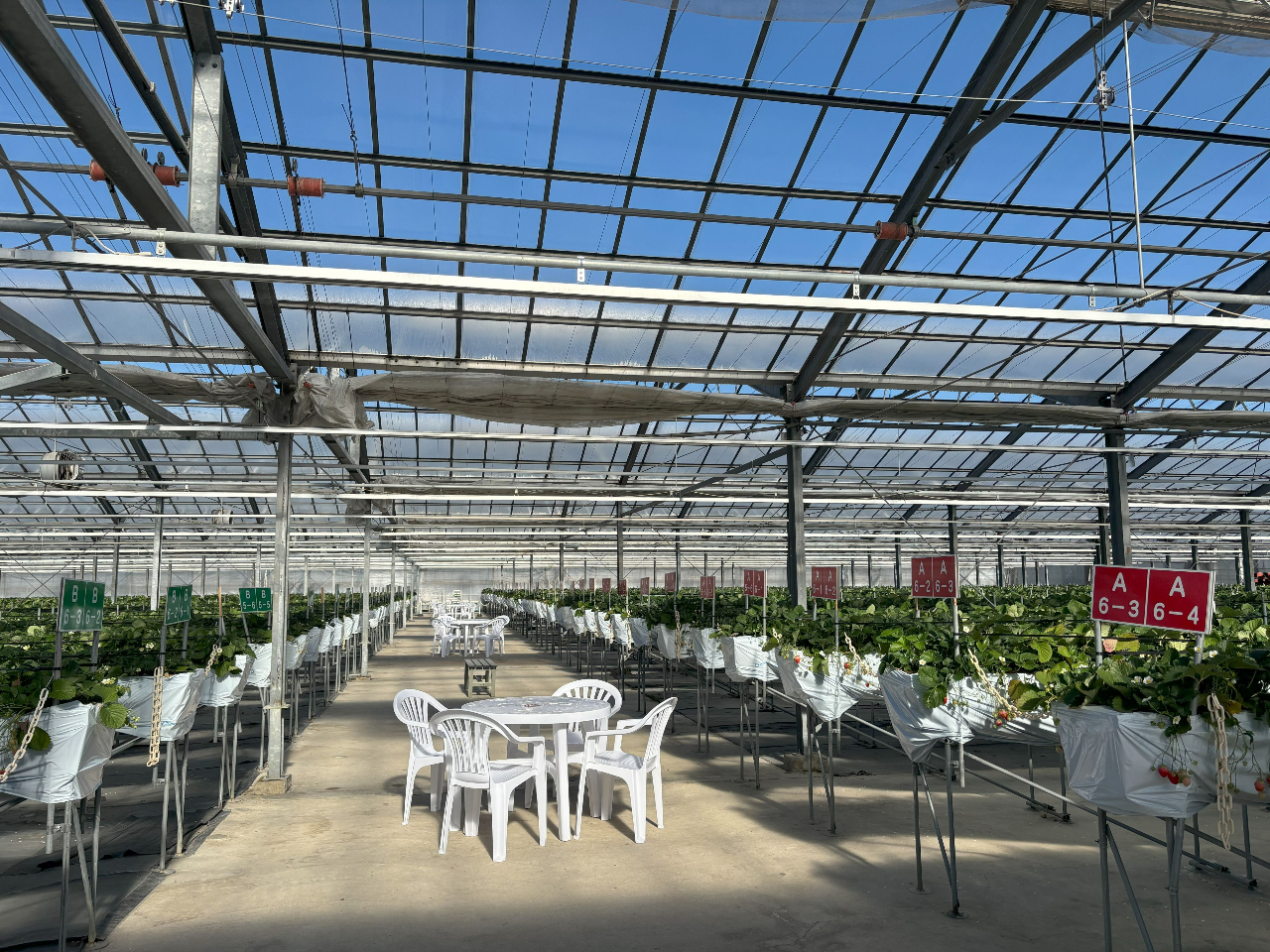 LXƂnEXŃ[L̂ŁAqlƂꏏɂy݂܂Be[u֎qݒuĂ܂̂ŉKɂ߂܂B