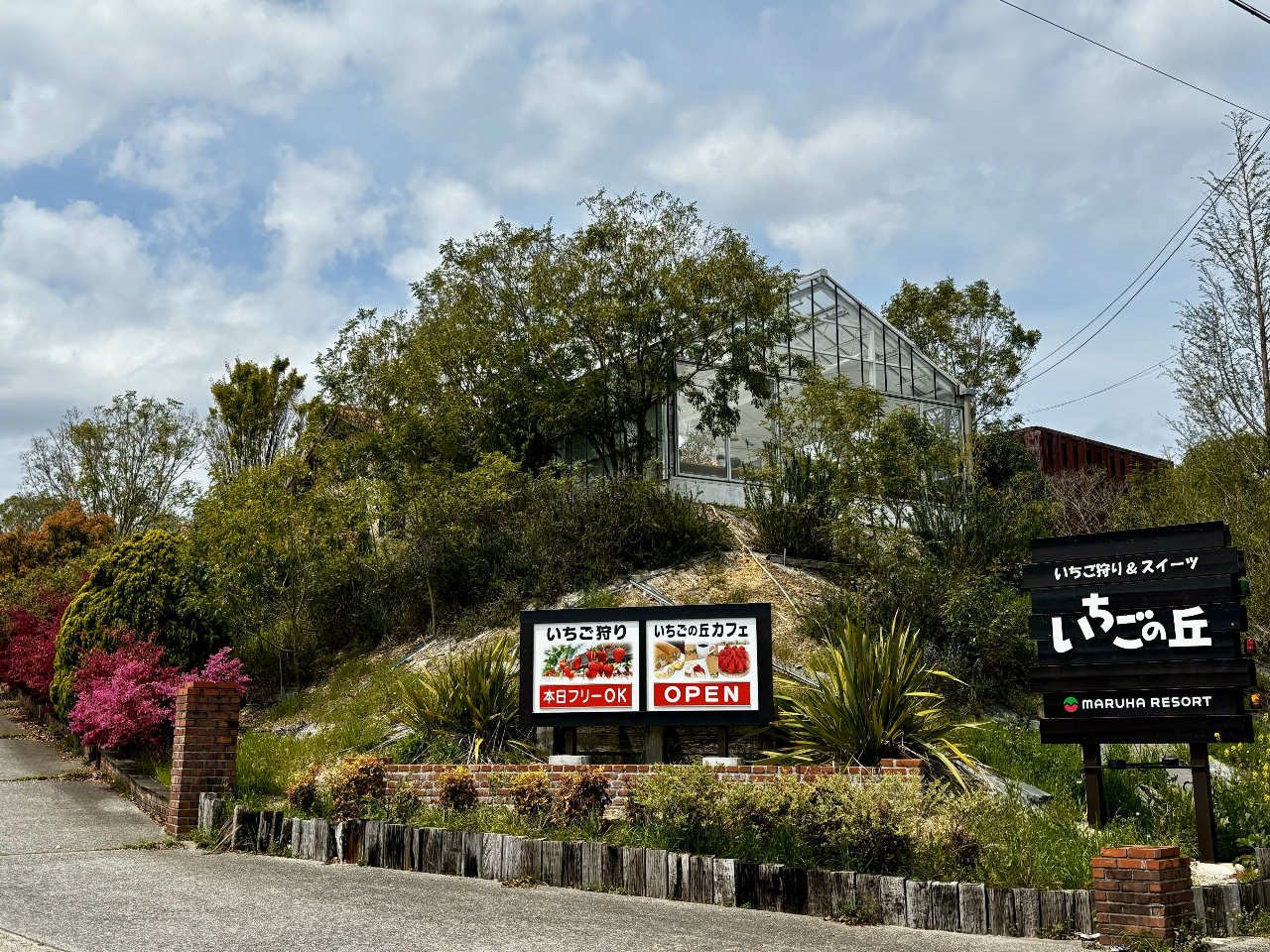  �m���������H�E�L�uIC���o�Ă����I���É�����Ԃ�50���قǂł��z�����������܂��B 