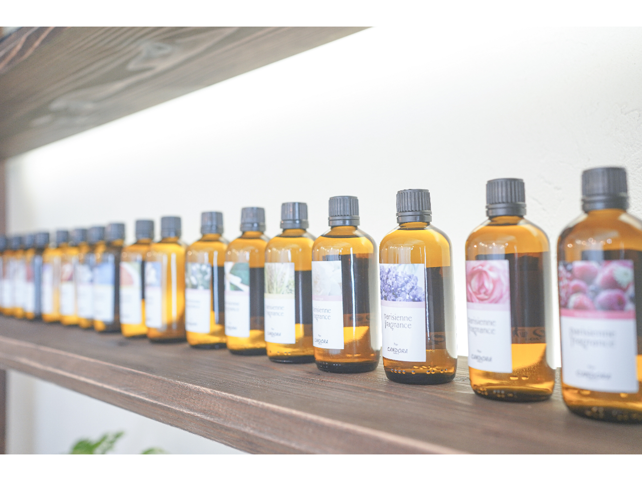 yeleganceR[Xz{tXŸHŉ[