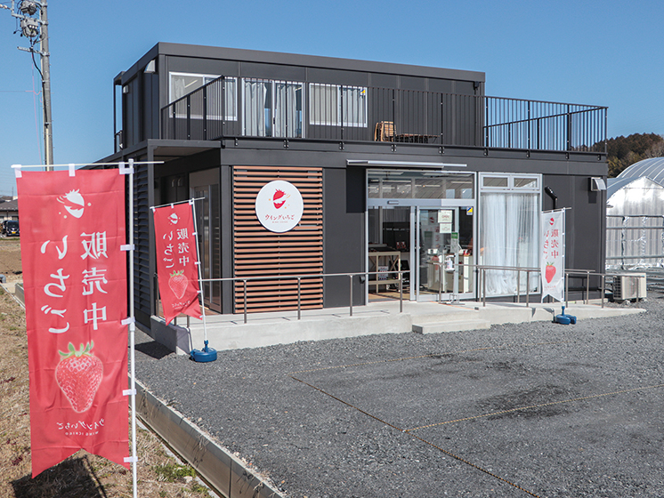 ≪2026年4~5月≫完売御礼!早い者勝ちです!糖度が高い、完熟「よつぼし」の摘...