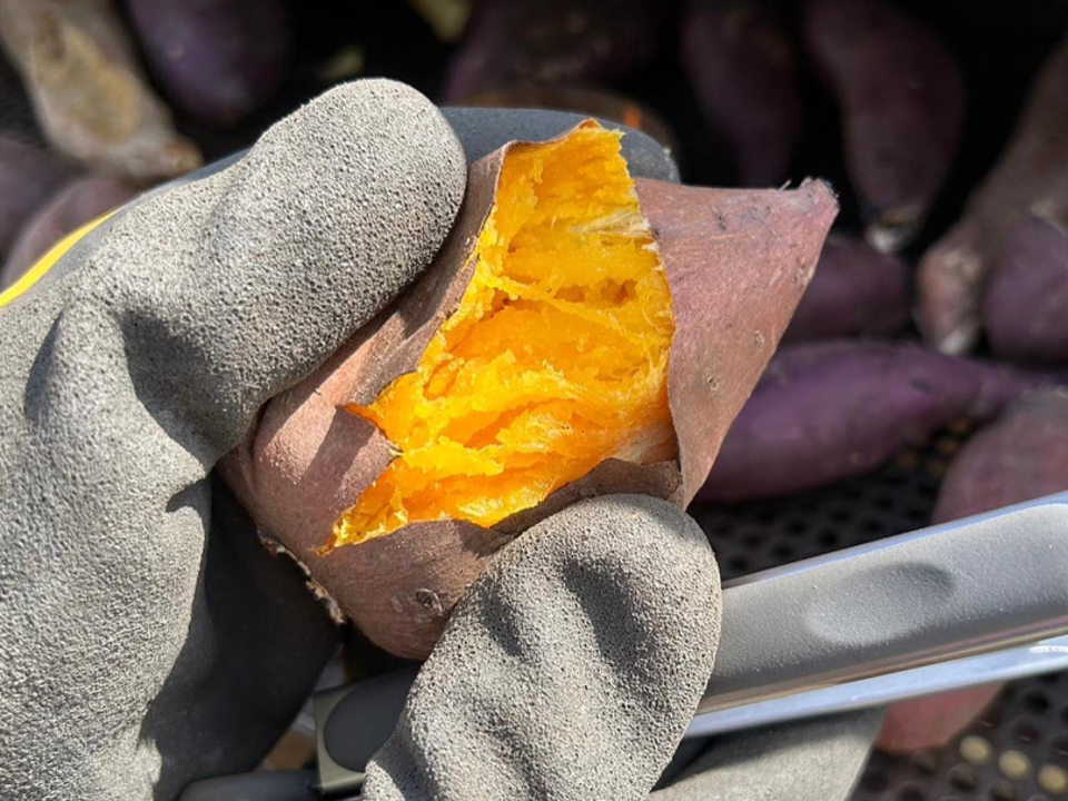 n܂͂ɂA肢܂BĂAVՂAwAXC[g|egȂǗlXȗŏH̖o܂ɐۂ