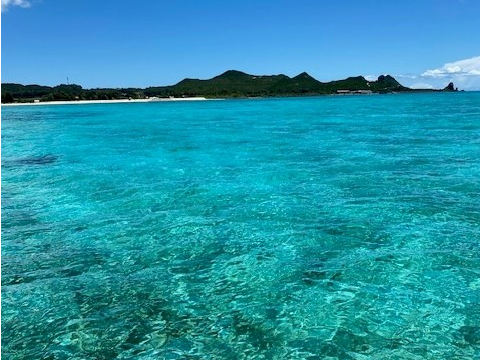 舞台となる海は透明度抜群です!見るだけでも楽しい!