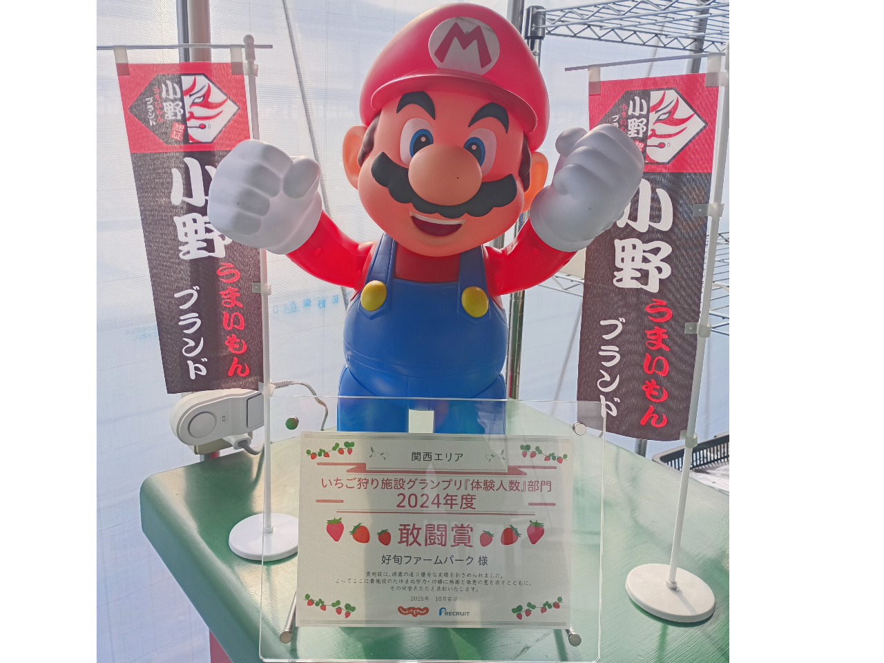 ���������{��