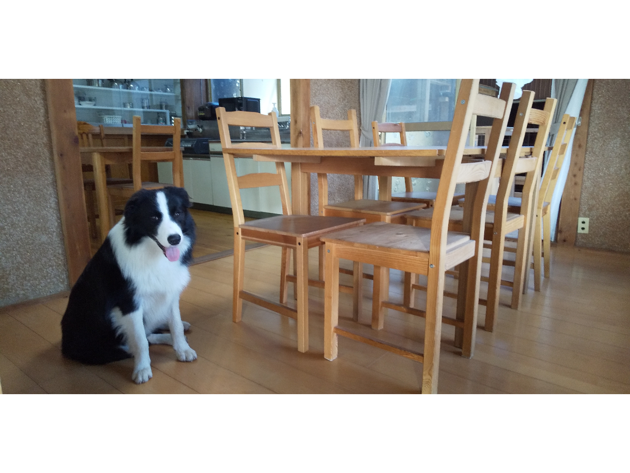 リビングとキッチンは隣なので便利。調理器具やBBQ器具も全て無料で使用できます。