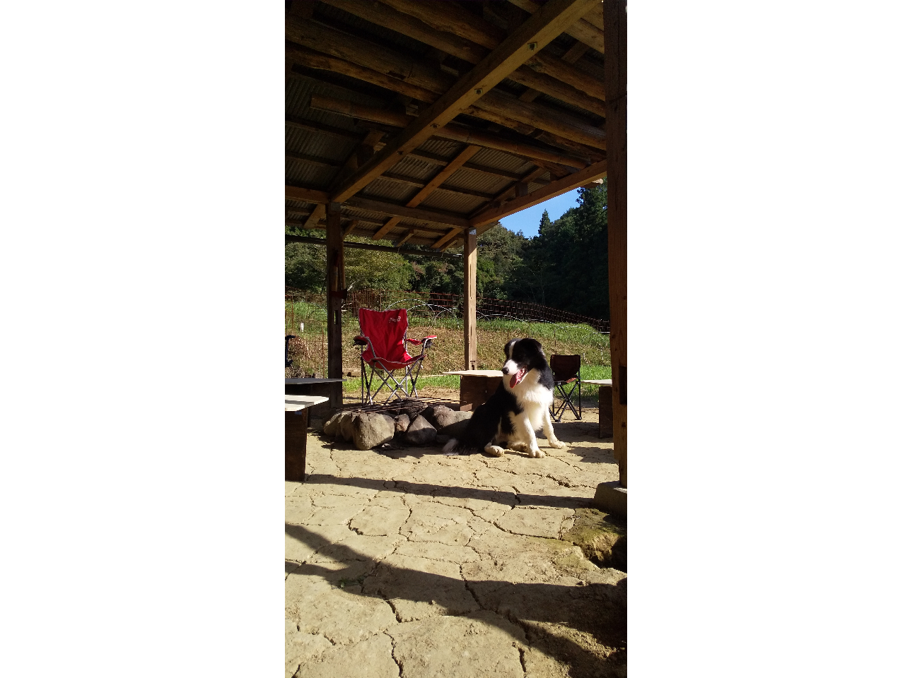 BBQと焚火ができる小屋があります。ピザも焼けます。 ゆったりとした時間の中で焚火を楽しみましょう。