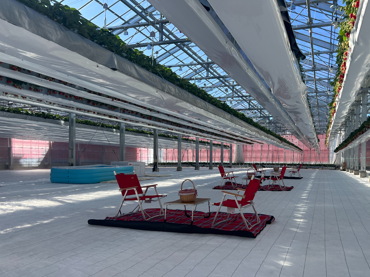 �������̉��Ńs�N�j�b�N�C��