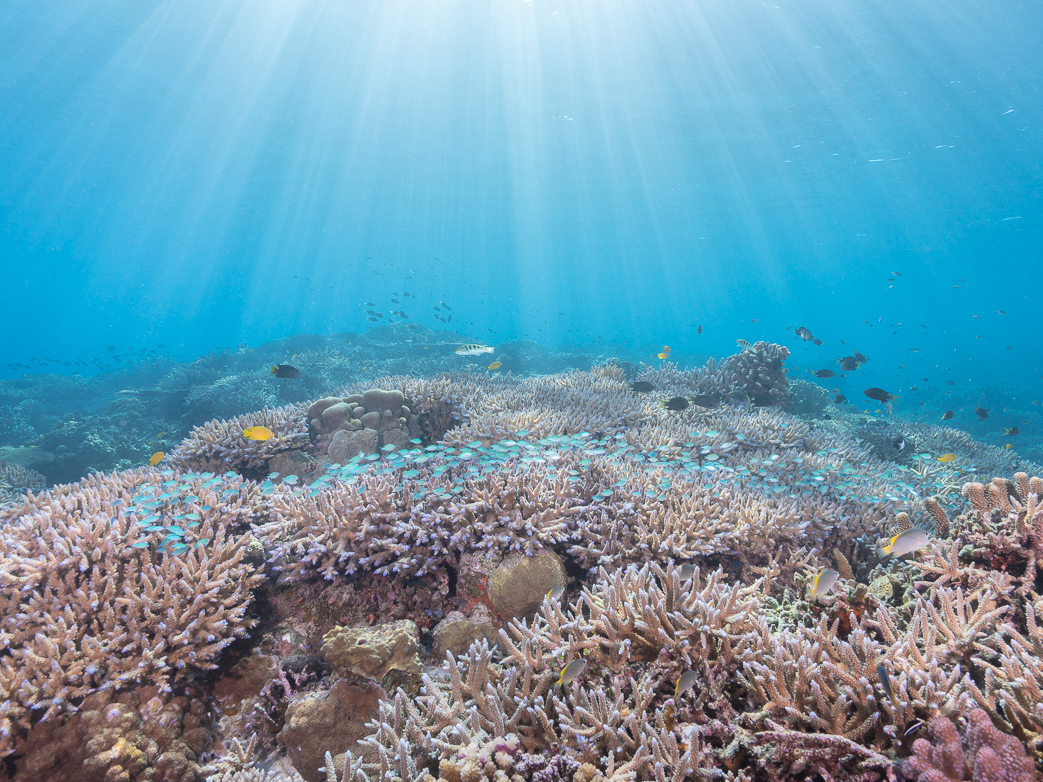 ݂ȓ̂̃TSʂ͈xĒił