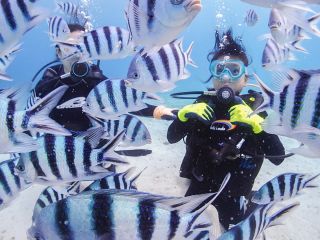 人生で1度はチャレンジしてみたい体験ダイビング。 参加年齢は10歳から。